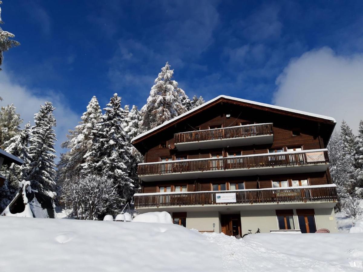 Laerchenwald Lodge Bellwald Esterno foto