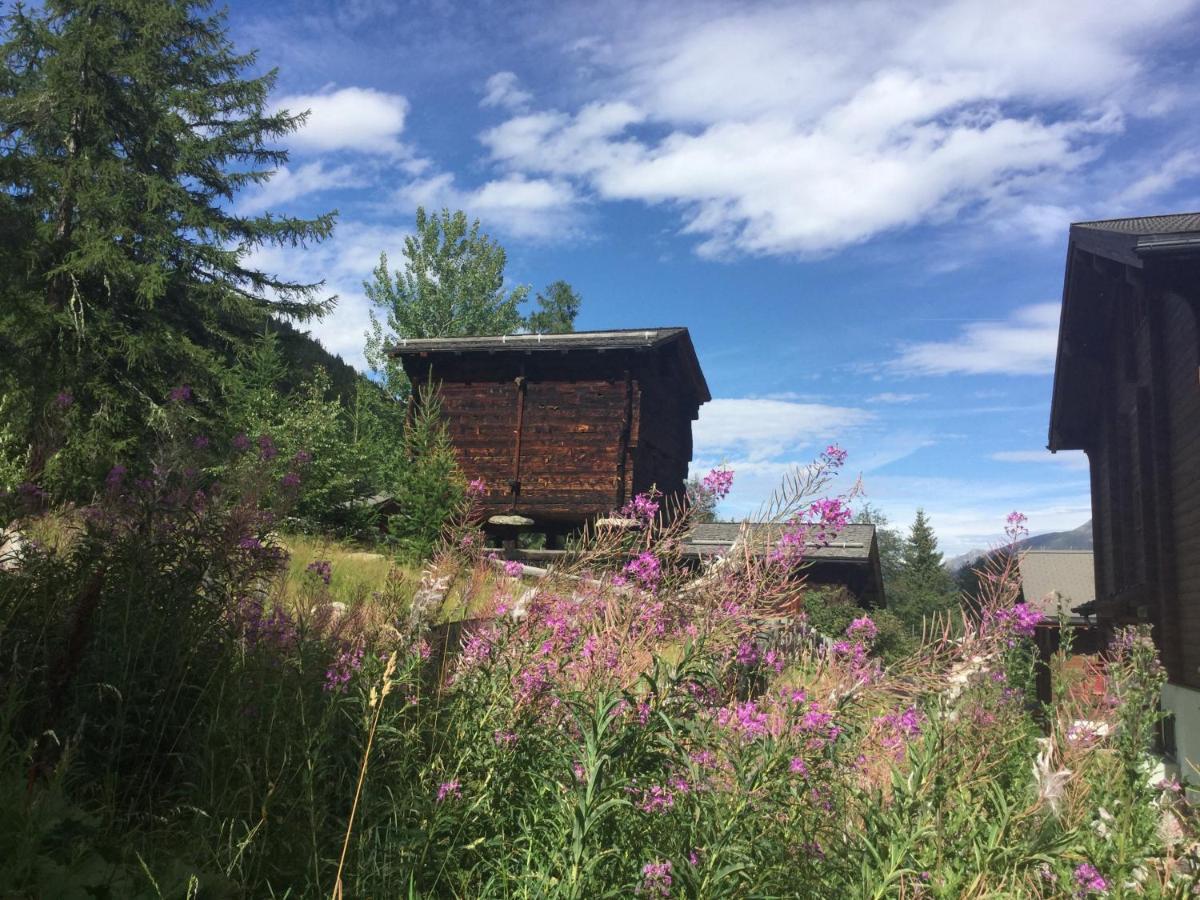 Laerchenwald Lodge Bellwald Esterno foto