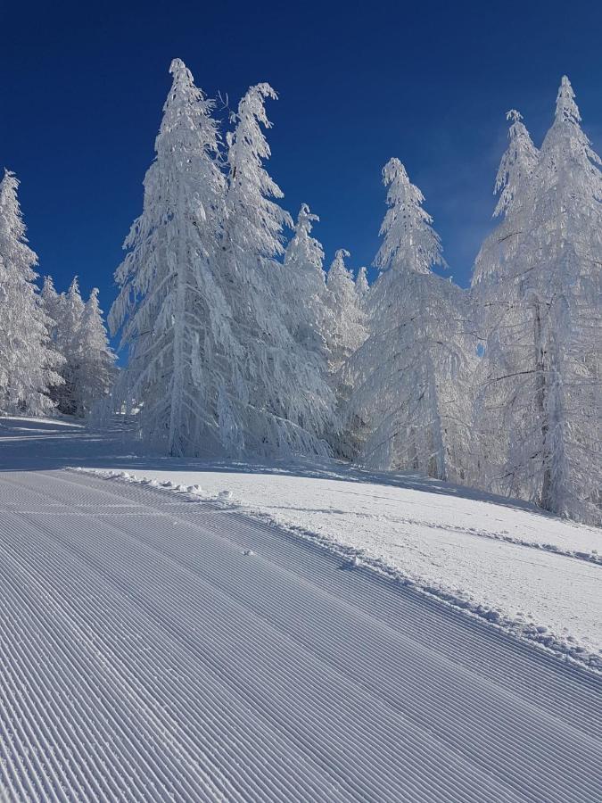 Laerchenwald Lodge Bellwald Esterno foto